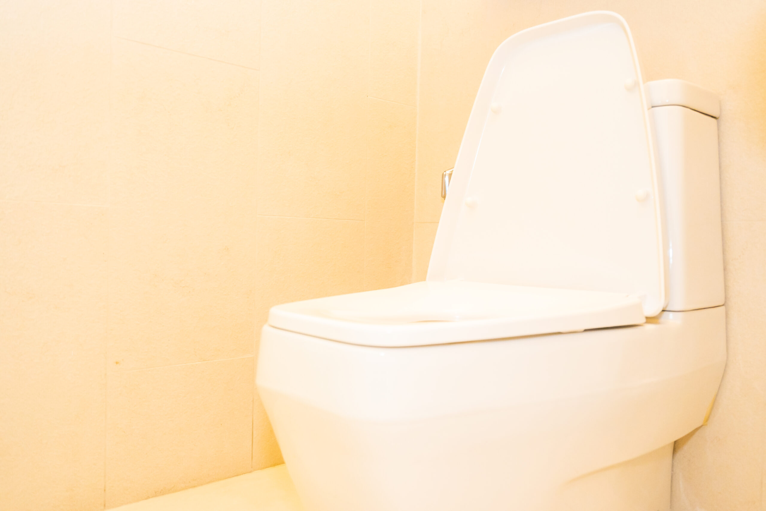 bidet para inodoro en Costa Rica